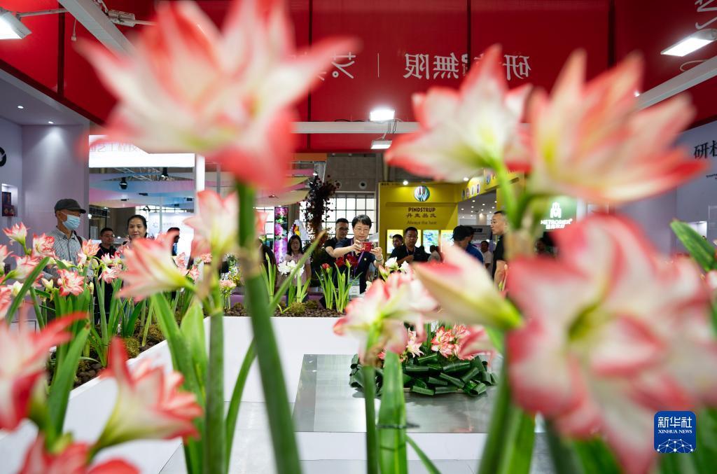集结号加微信送福利